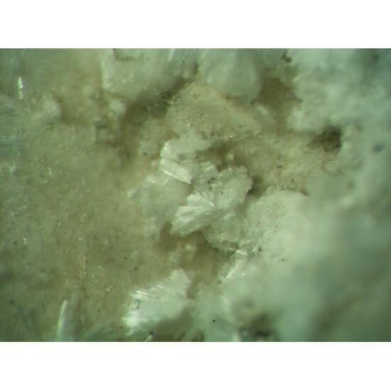 Picropharmacolite