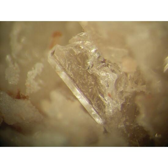 Meyerhofferite