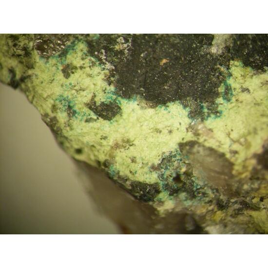 Varlamoffite