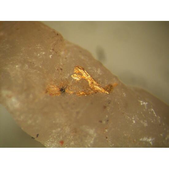 Native Gold & Pyrite In Quartz