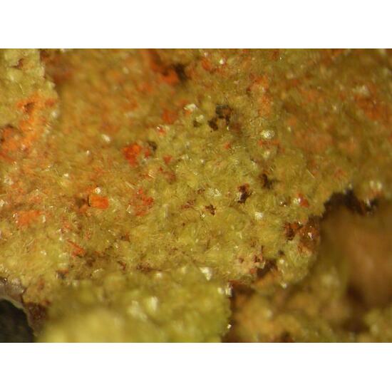 Autunite