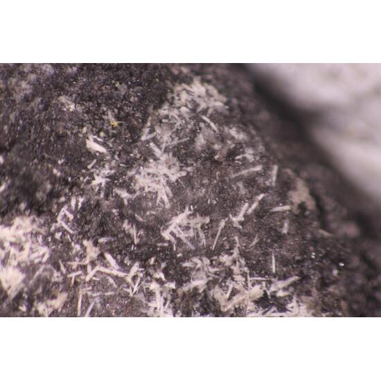 Native Selenium Rostite & Bassanite