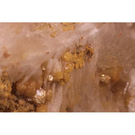 Kleinite & Gypsum