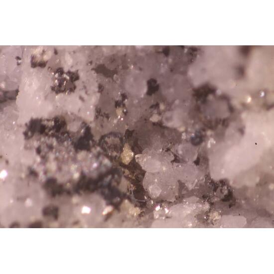 Luzonite Galena & Bismutite