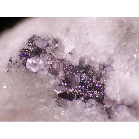 Incomsartorite & Hendekasartorite