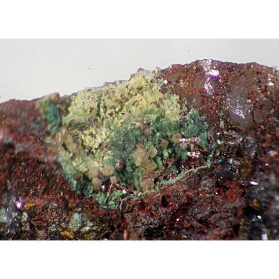 Corderoite