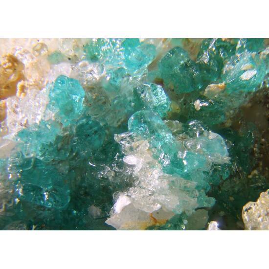 Bellingerite