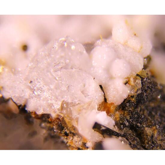 Willhendersonite Gismondine & Augite