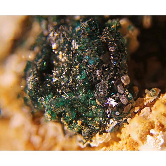 Herbertsmithite