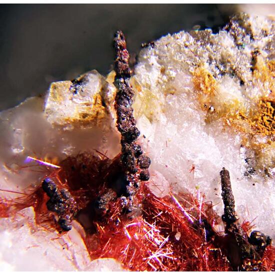 Chalcotrichite & Copper