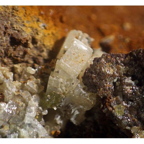 Miersite & Bromargyrite & Chlorargyrite