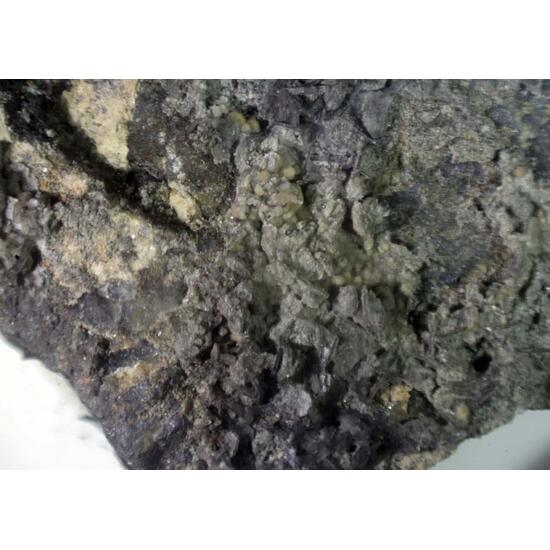 Brandholzite