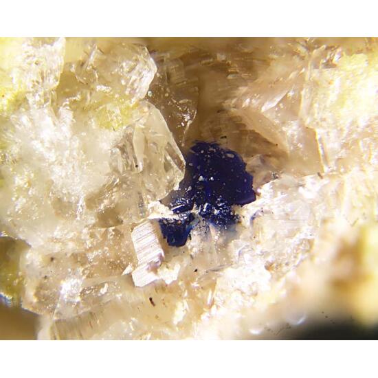 Ruizite Kinoite & Apophyllite