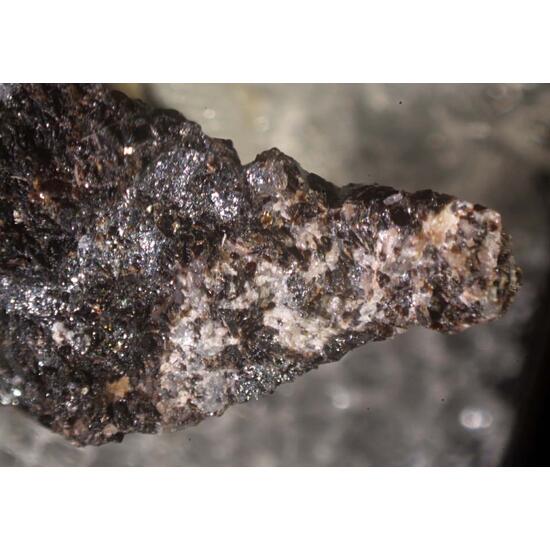 Nasonite & Manganophyllite