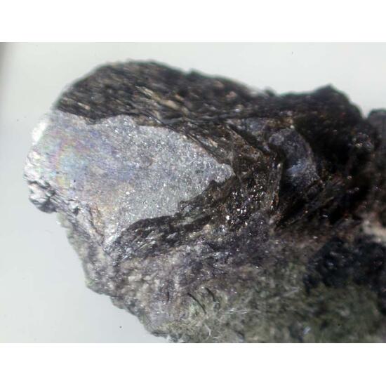 Lomonosovite