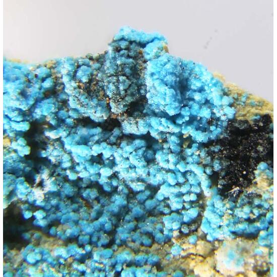 Decrespignyite-(Y)