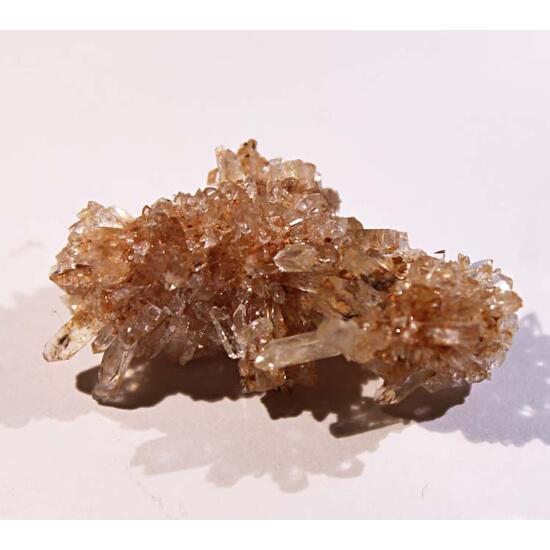 Creedite