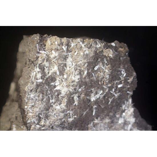 Ferrierite-NH4