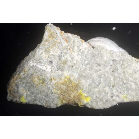 Haynesite