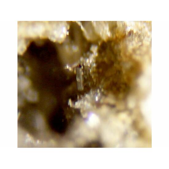 Tubulite