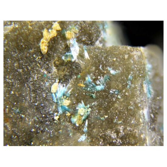 Aldridgeite