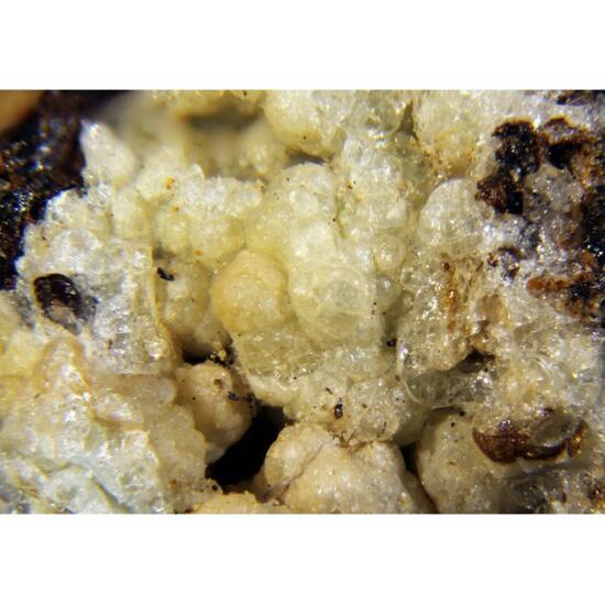 Donbassite