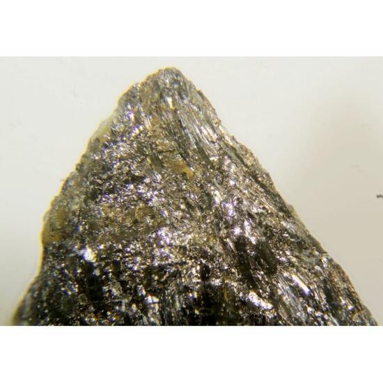 Maldonite