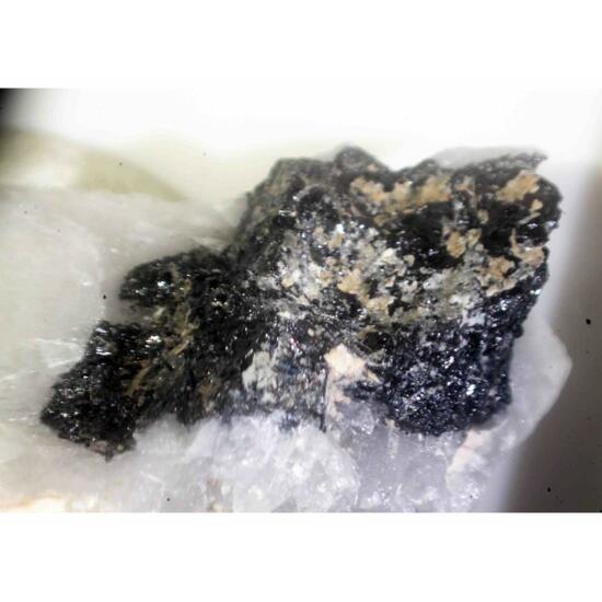 Columbite-(Mn)