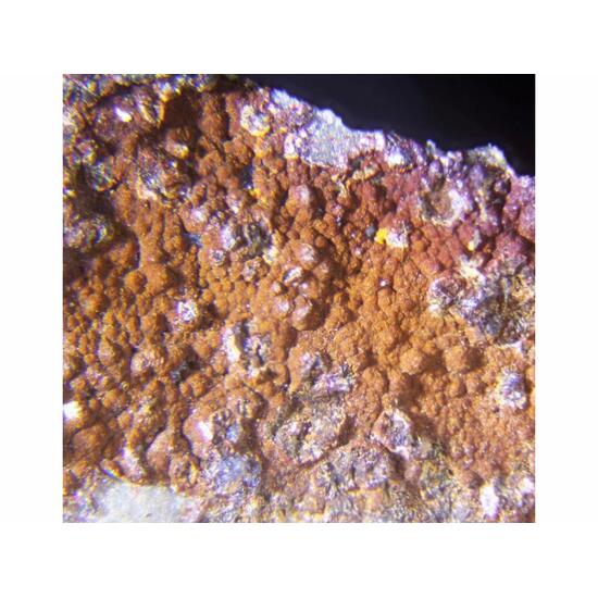 Cuzticite