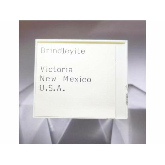 Brindleyite