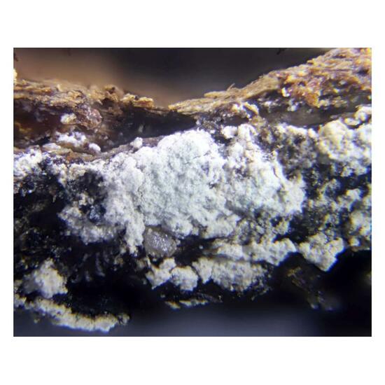 Hexahydrite & Halite
