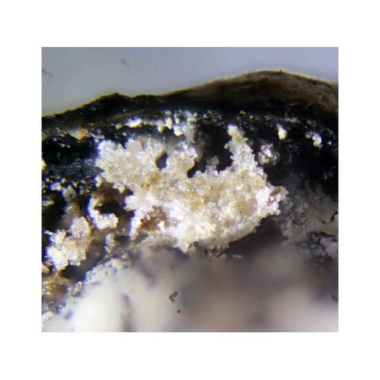 Hexahydrite & Halite