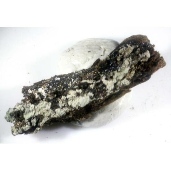 Hexahydrite & Halite