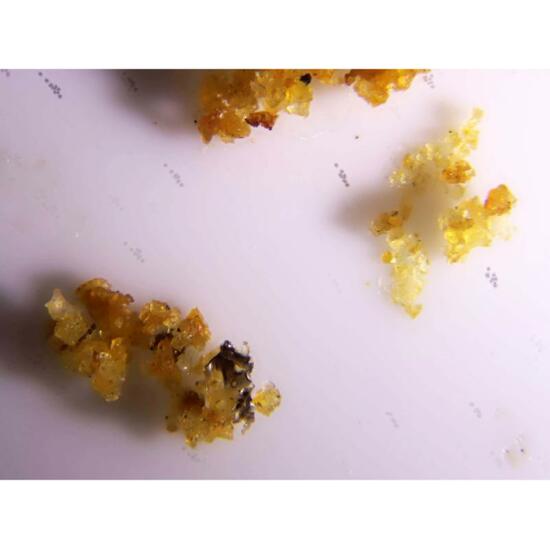 Erythrosiderite