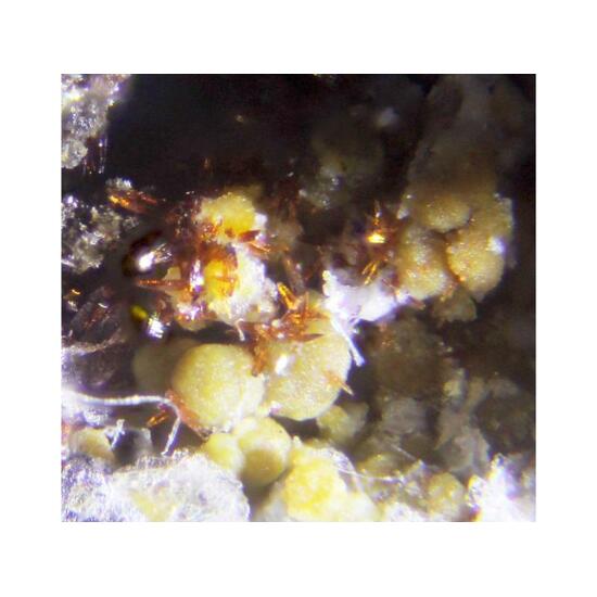 Serrabrancaite