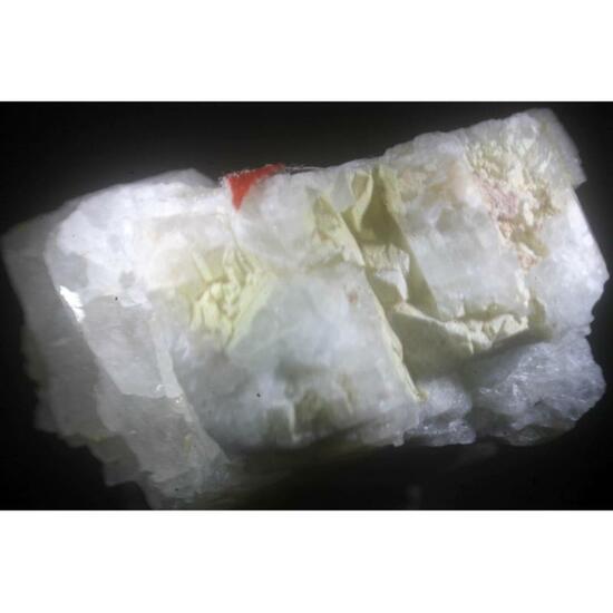 Carlosbarbosaite