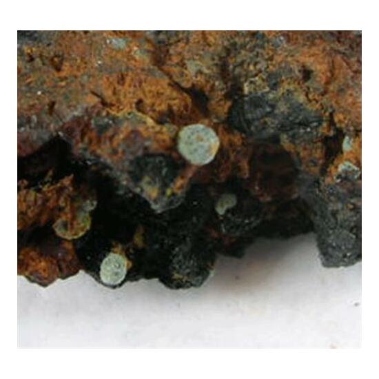 Kidwellite