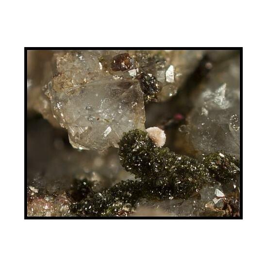 Cobaltaustinite Picropharmacolite Spherocobaltite & Quartz