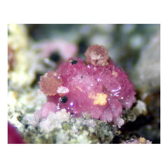 Strengite & Leucophosphite