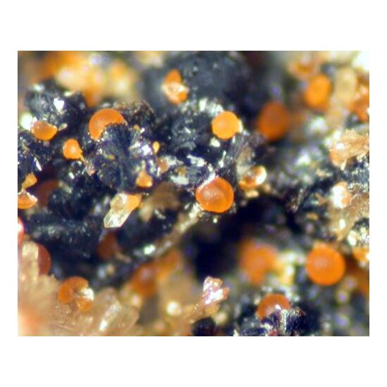 Cacoxenite Laueite & Jahnsite