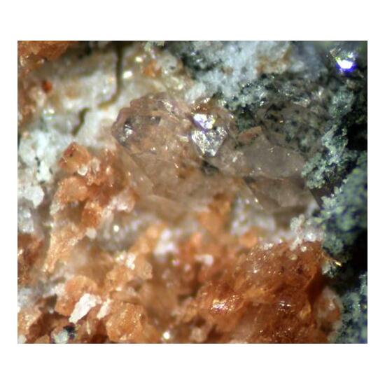 Whiteite-(MnFeMg) & Hureaulite