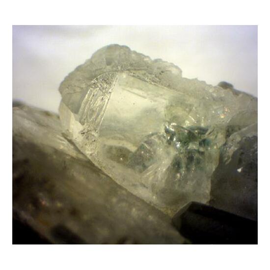 Beryllonite & Fluorapatite