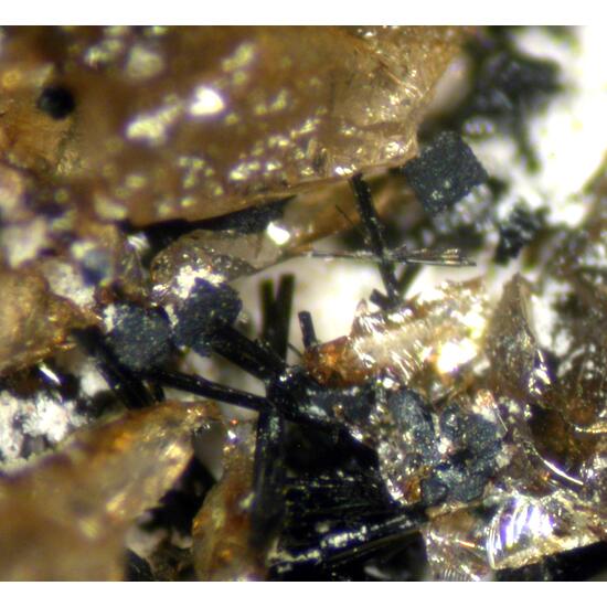 Lipscombite Fairfieldite & Triphylite