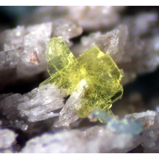 Saléeite Cacoxenite & Fluorapatite