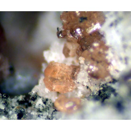 Whiteite-(MnFeMg) & Hureaulite