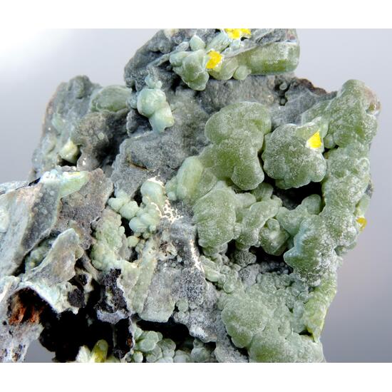 Plumbogummite