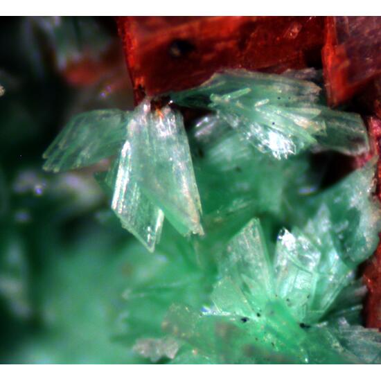 Annabergite & Talmessite