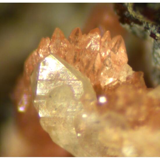 Ludlamite Correianevesite & Hureaulite