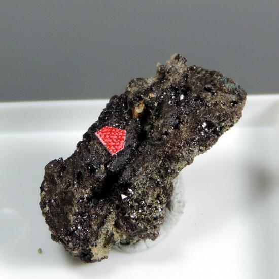 Ludlamite Correianevesite & Hureaulite