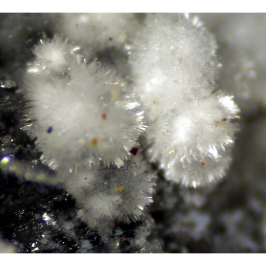 Ferrinatrite & Gypsum